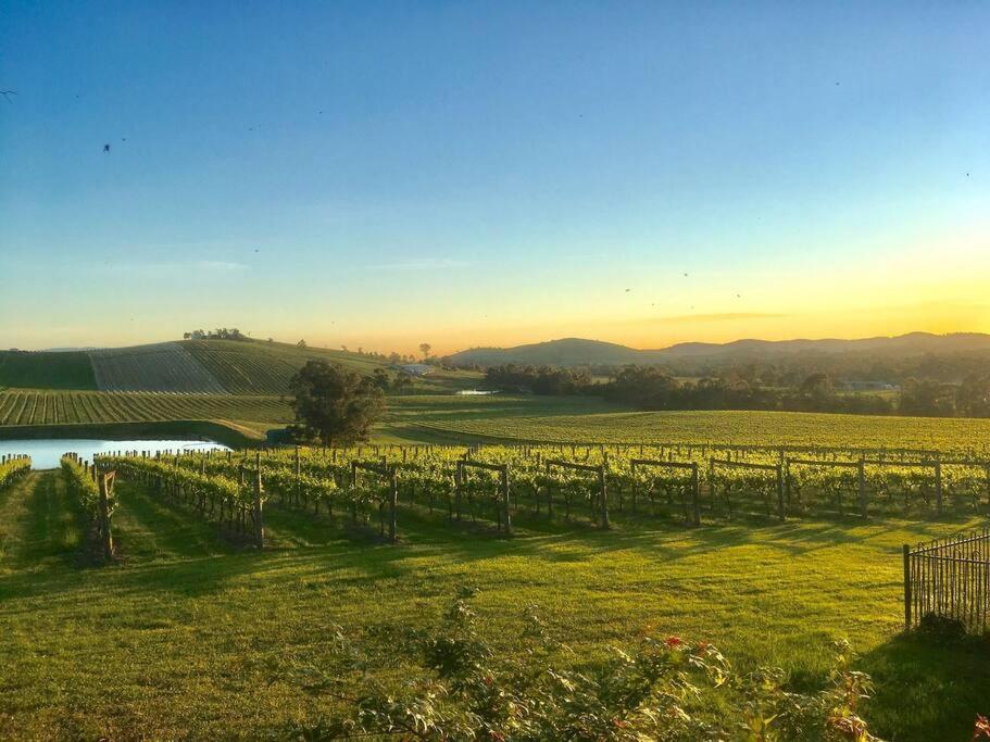 Appartement Mount Hope Estate Vineyard à Dixons Creek Extérieur photo